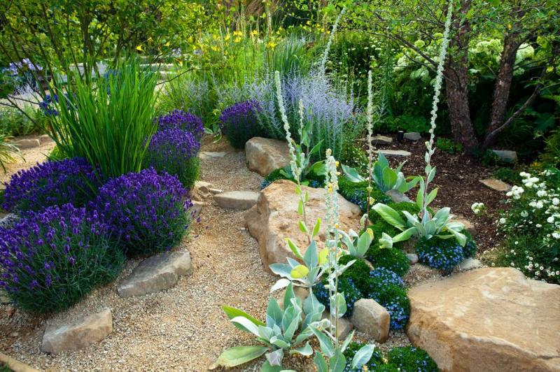 V&eacute;g&eacute;talisation du jardin : cr&eacute;er un &eacute;crin de verdure durable